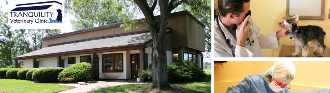 Tranquility Veterinary Clinic's cover image