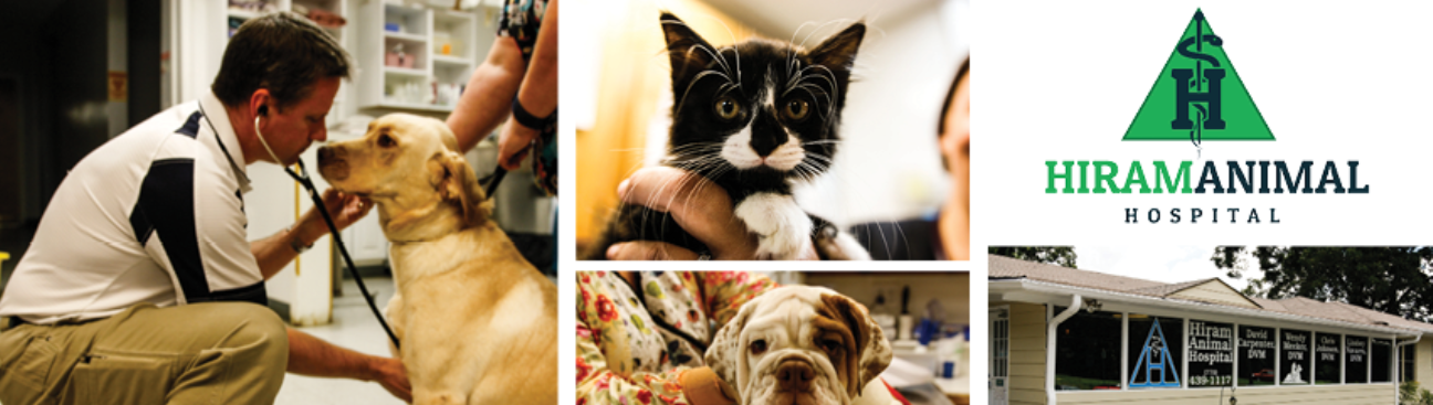 Hiram Animal Hospital's cover image