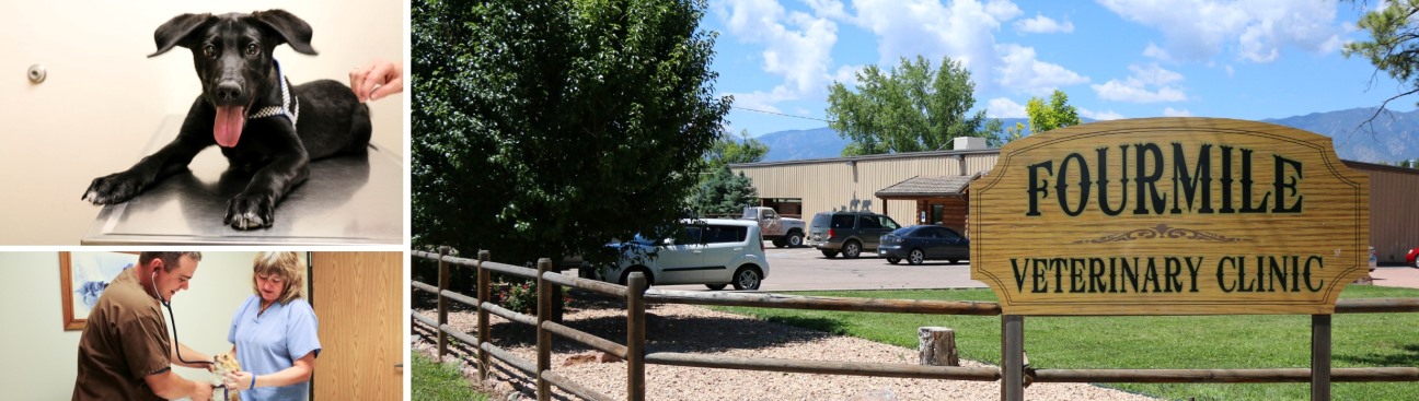 Fourmile Veterinary Clinic's cover image