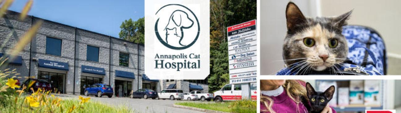 Annapolis Cat Hospital's cover image