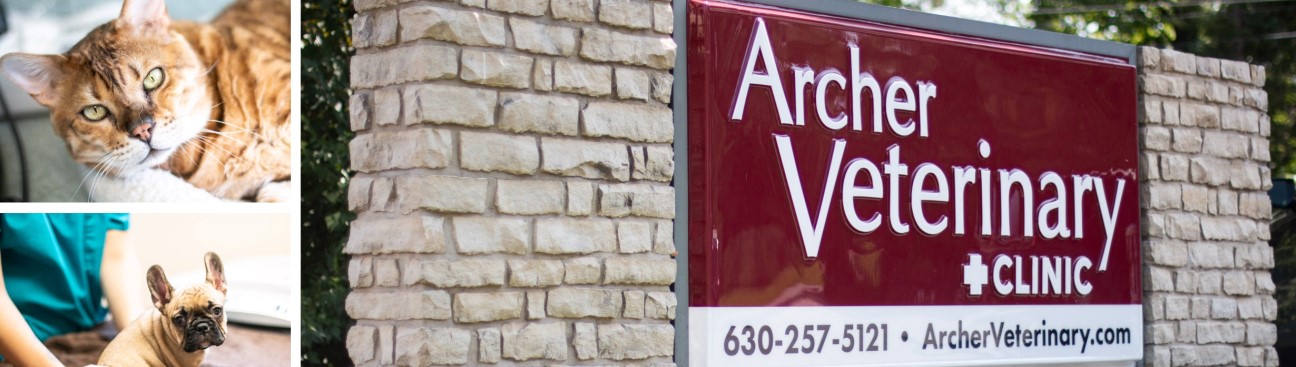 Archer Veterinary Clinic's cover image