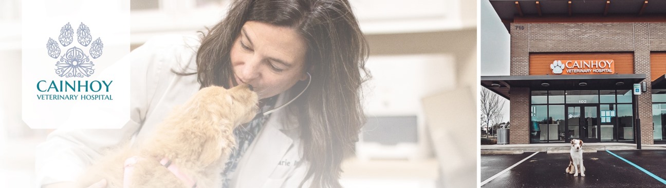 Cainhoy Veterinary Hospital's cover image
