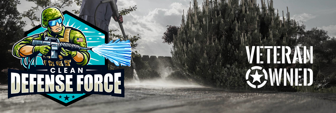 Clean Defense Force's cover image