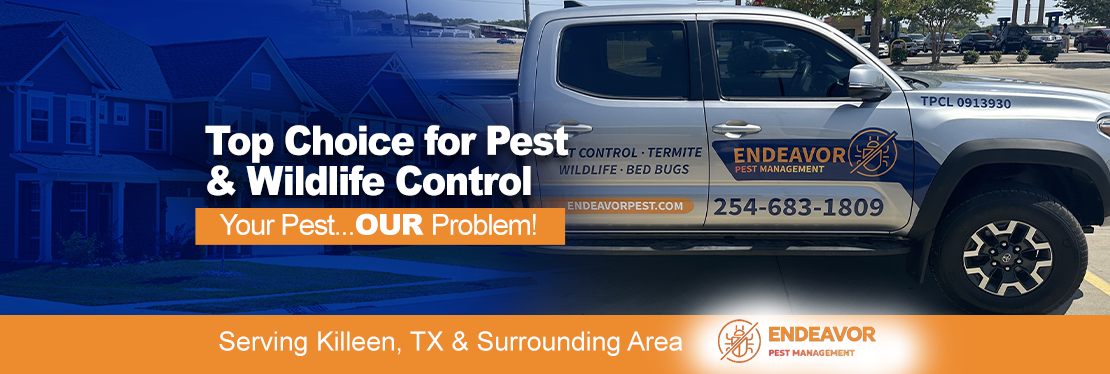 Endeavor Pest Management's cover image