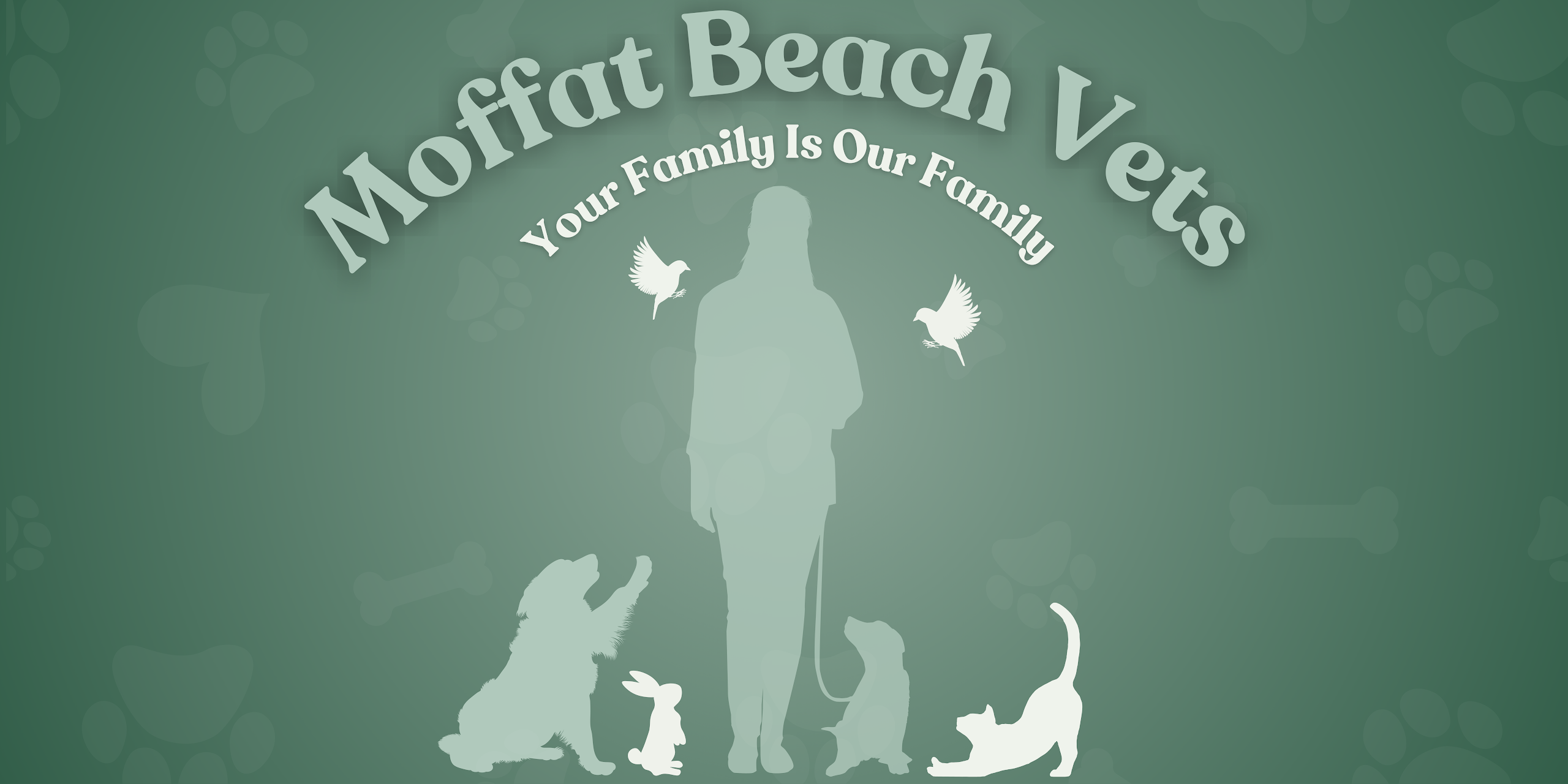 Moffat Beach Vets's cover image
