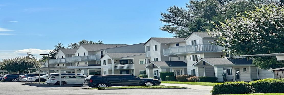 Cedars on 67th's cover image