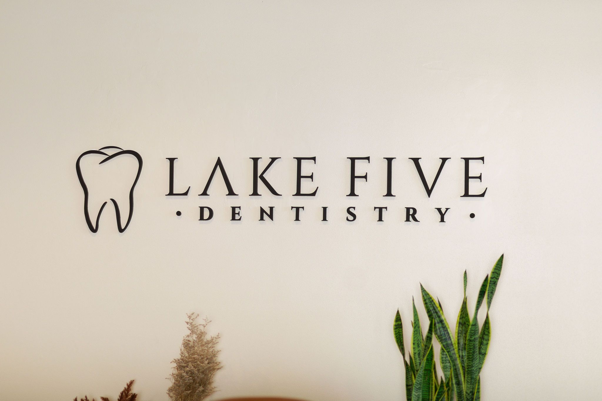 Lake Five Dentistry's cover image