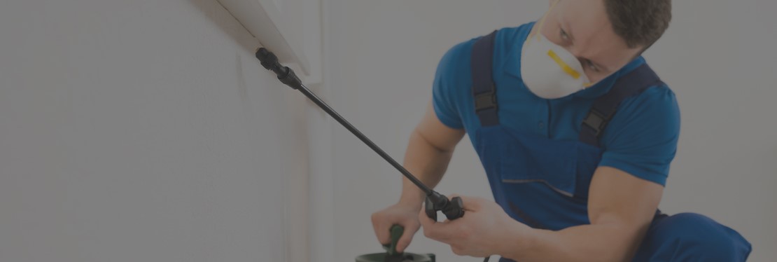 McGee Pest Control's cover image