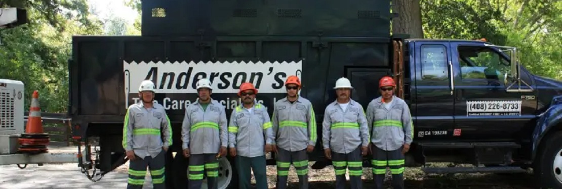 Anderson's Tree Care Specialists's cover image