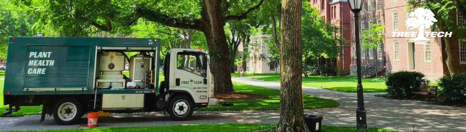 Tree Tech Inc's cover image