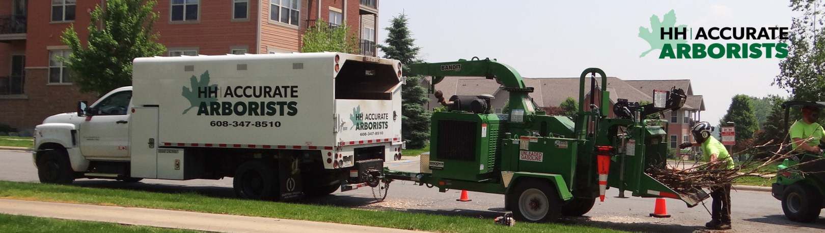 H&H Accurate Arborists's cover image