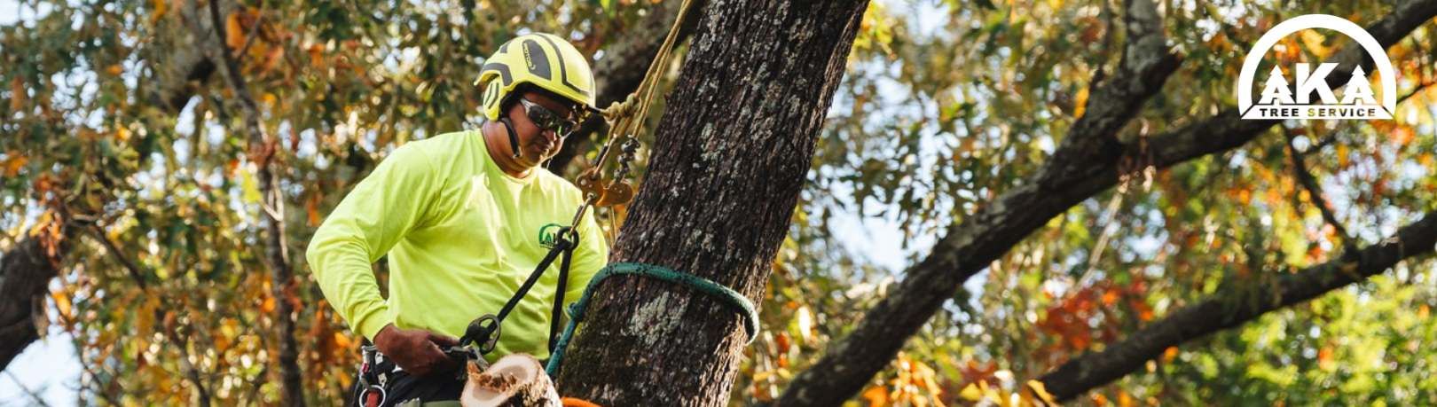 AKA Tree Service's cover image