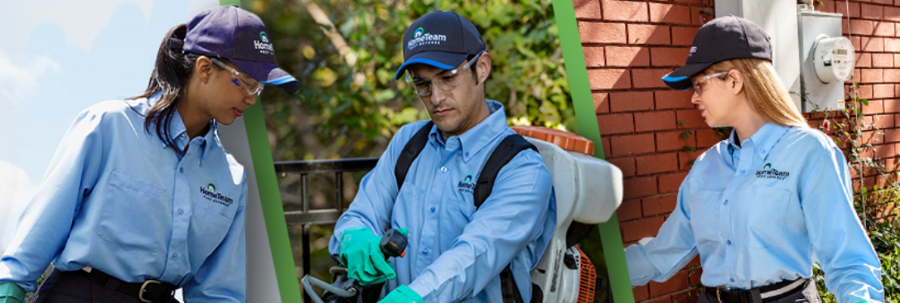 HomeTeam Pest Defense's cover image