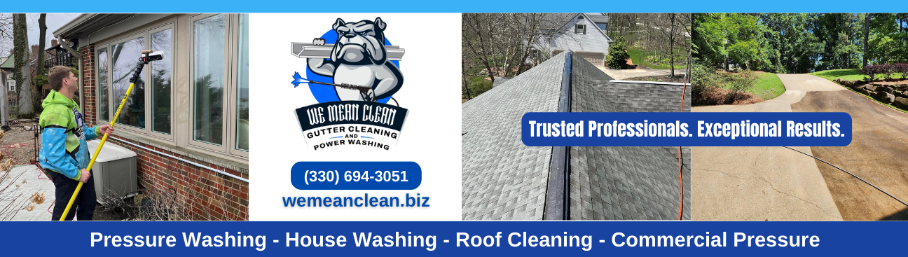 We Mean Clean Exterior Cleaning's cover image