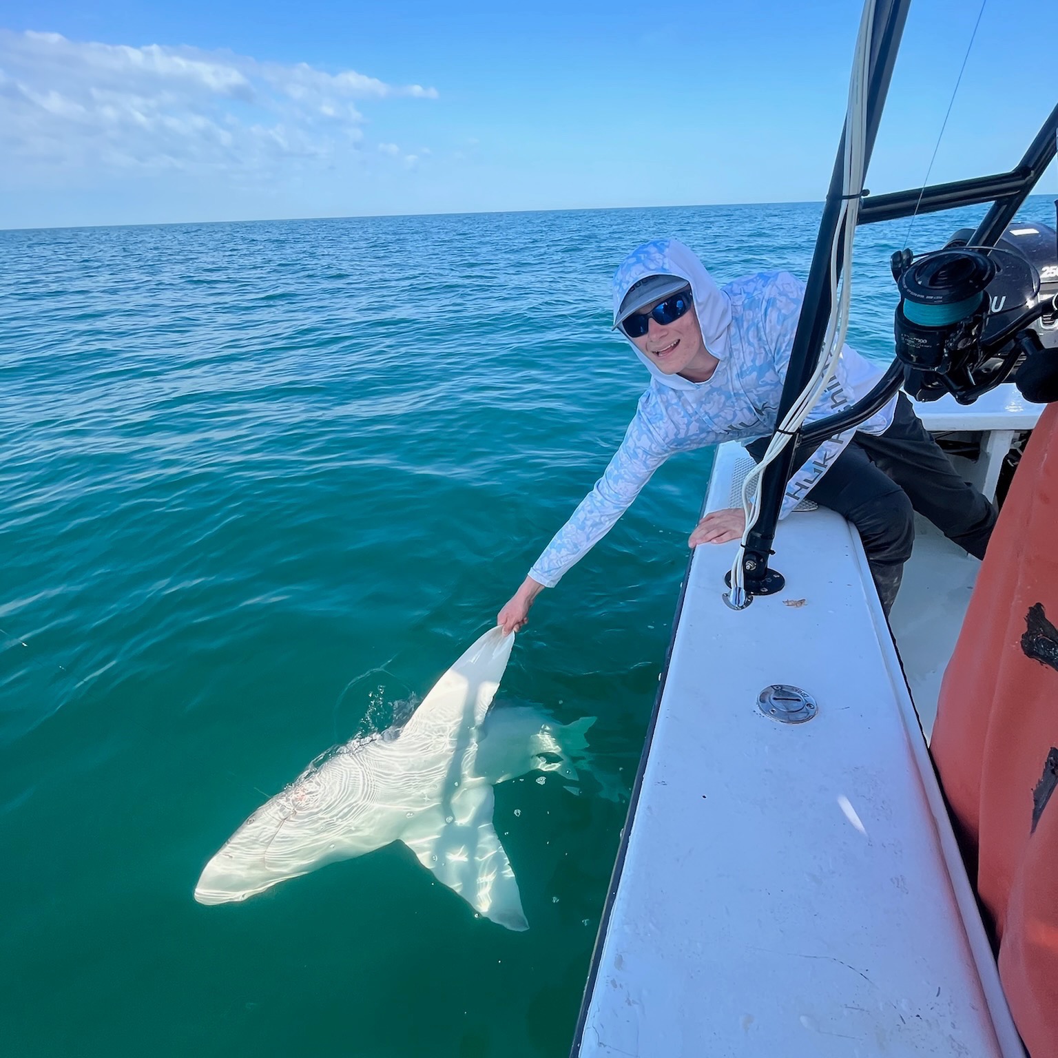 Sarasota Sport Fishing Charters's cover image
