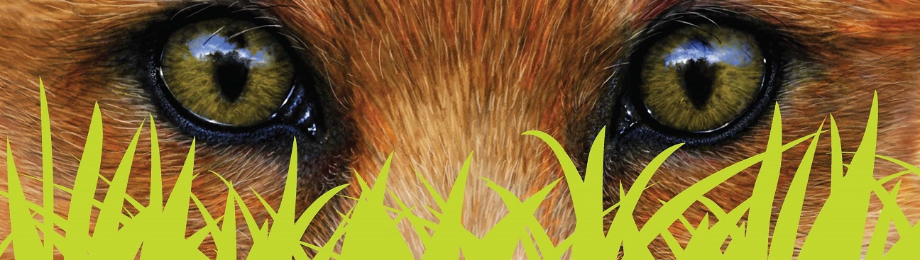 Fox Mowing & Gardening Sutherland | Lawn Mowing and Gardening Maintenance #1 Lawn Services, Soft Landscaping's cover image