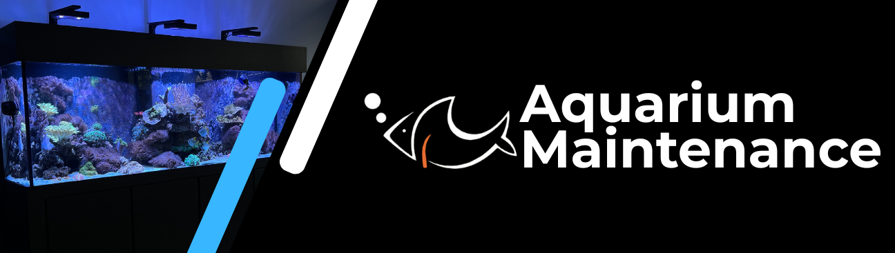 Aquarium Maintenance, LLC's cover image