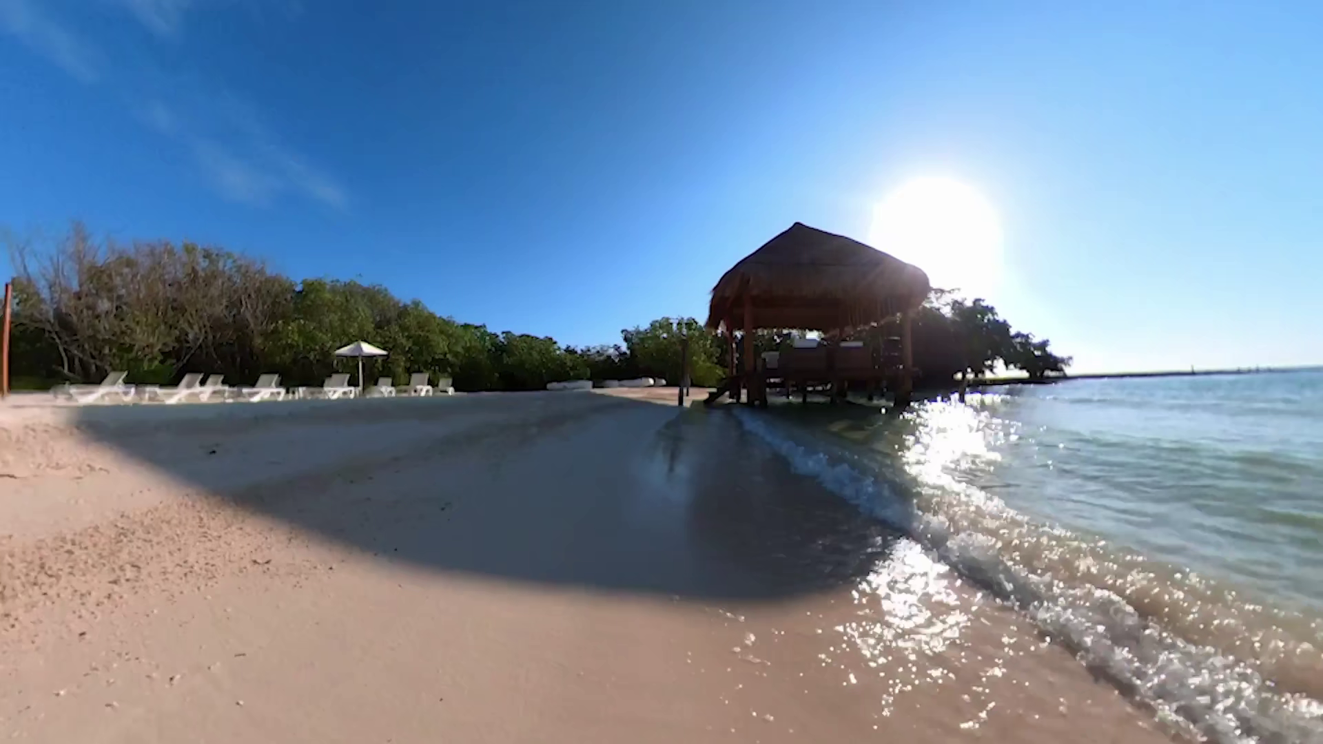 Club Travalia's cover image