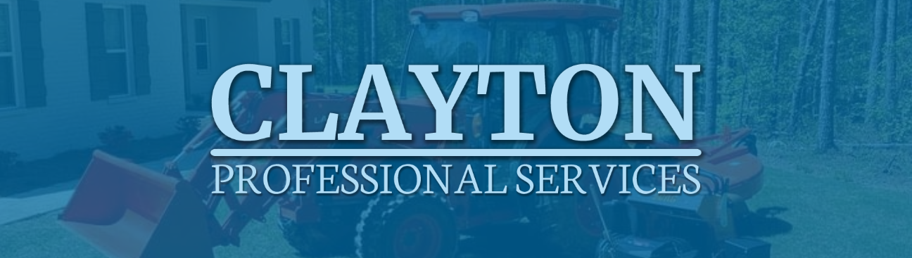 Clayton Professional Services's cover image