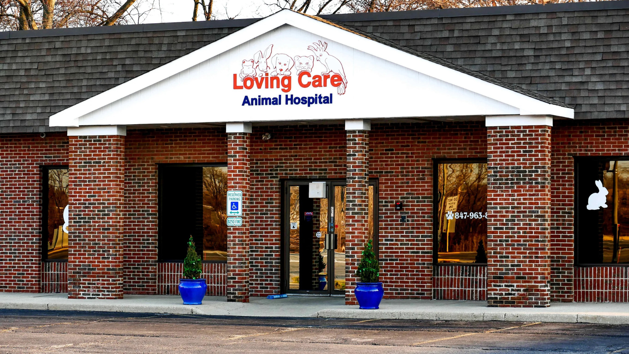 Loving Care Animal Hospital's cover image