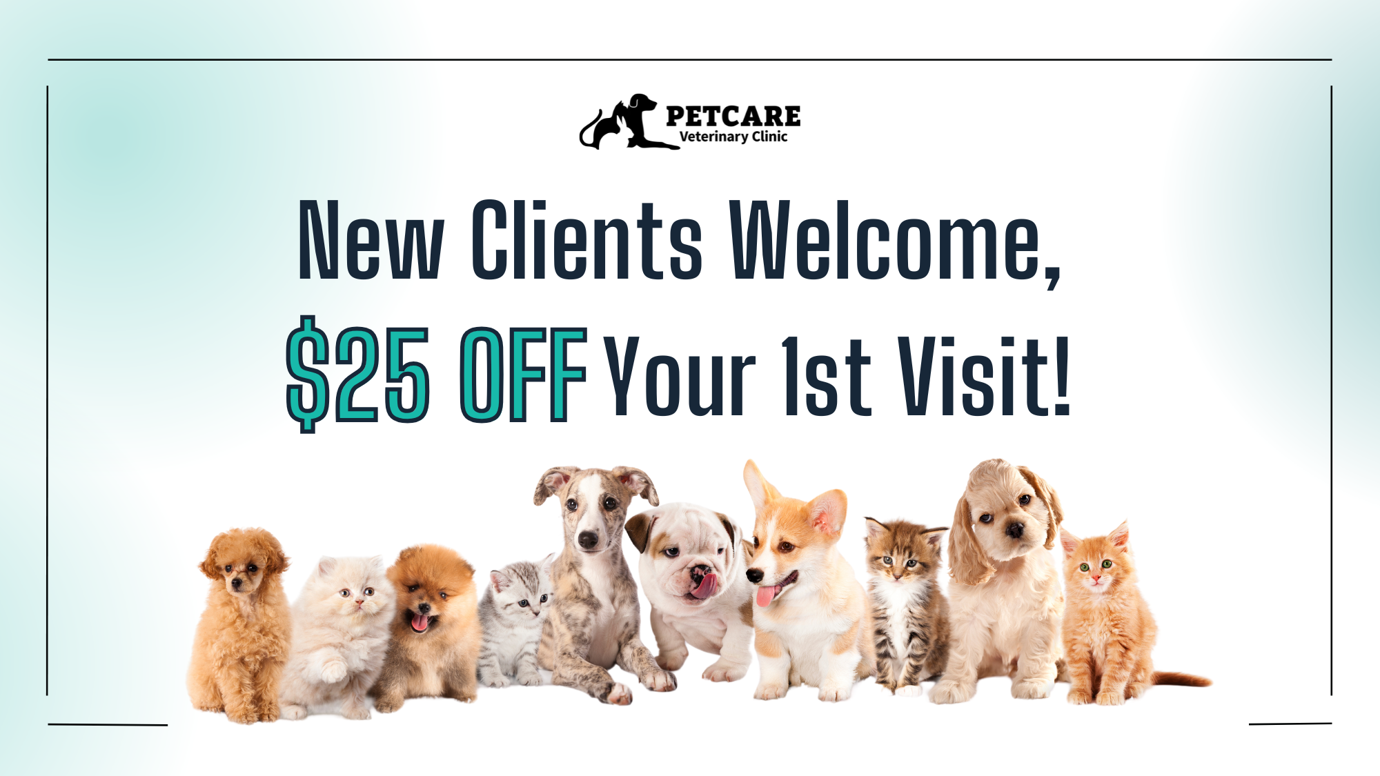PetCare Veterinary Clinic's cover image