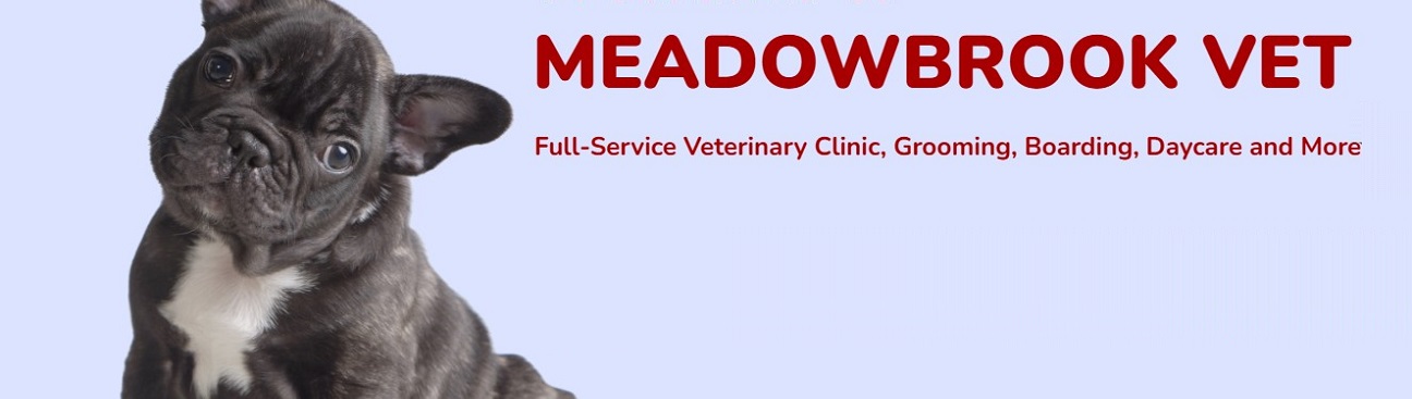 Meadowbrook Veterinary Clinic - North's cover image