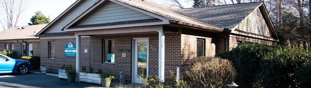 TotalBond Veterinary Hospital at Bethel's cover image