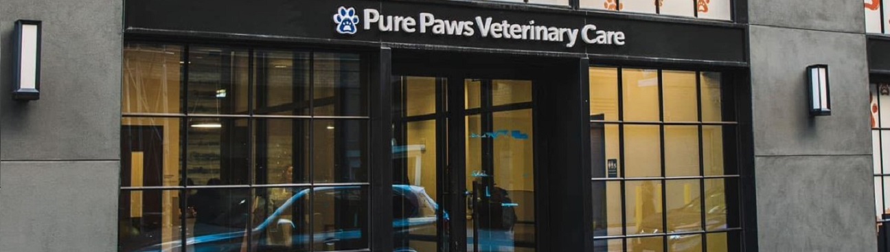 Pure Paws Veterinary Care of Hudson Square's cover image