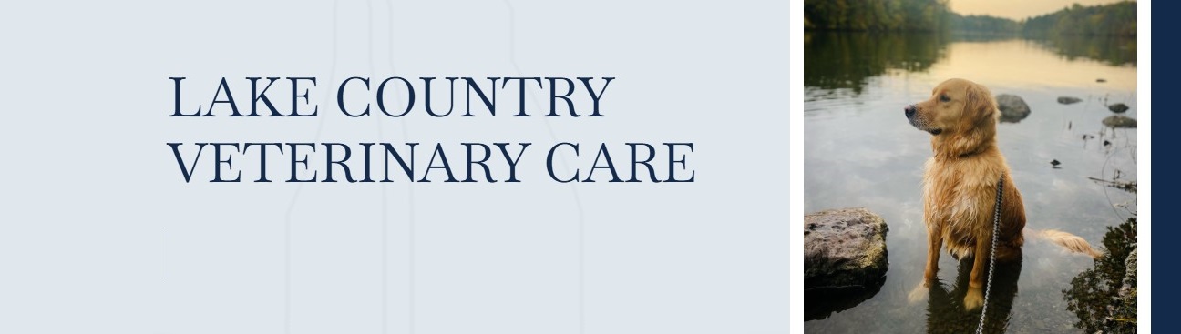 Lake Country Veterinary Care's cover image