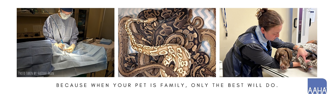 Parker Center Animal Clinic's cover image
