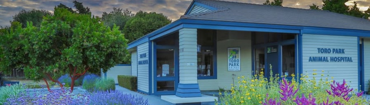 Toro Park Animal Hospital's cover image