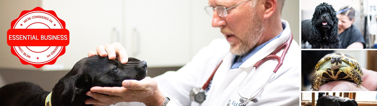 Three Trails Animal Hospital's cover image