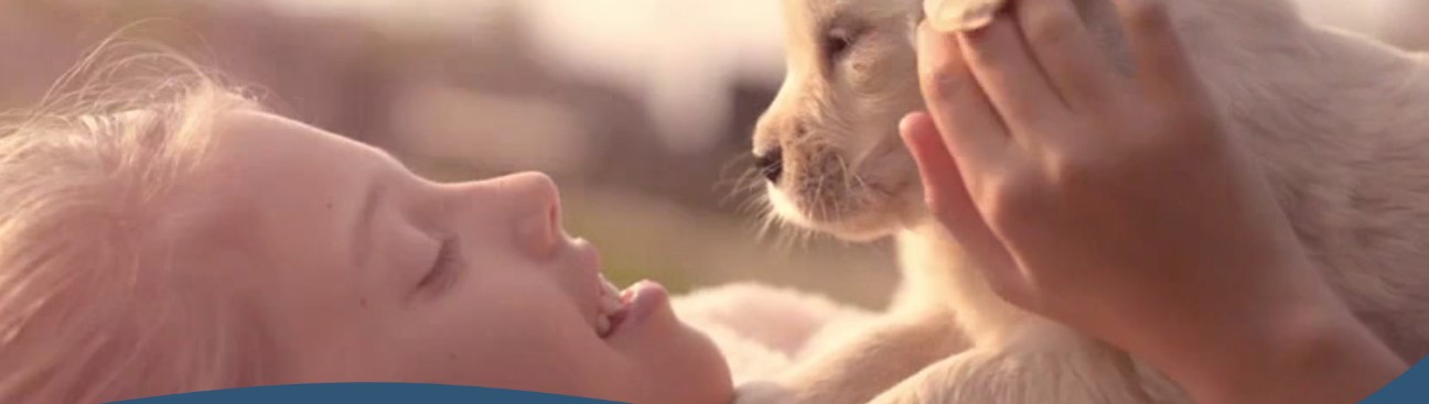 Willowbrook Veterinary Clinic's cover image