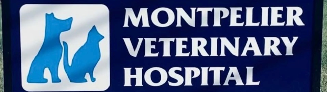 Montpelier Veterinary Hospital's cover image