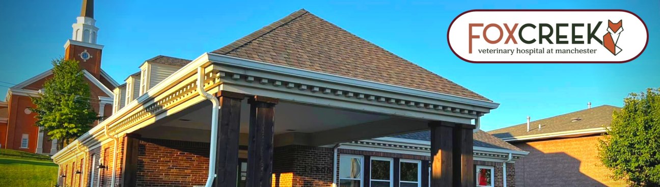 Fox Creek Veterinary Hospital at Manchester Avenue's cover image