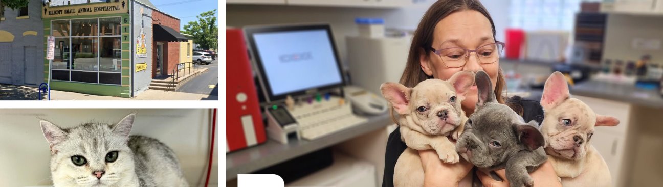 Ellicott Street Animal Hospital's cover image