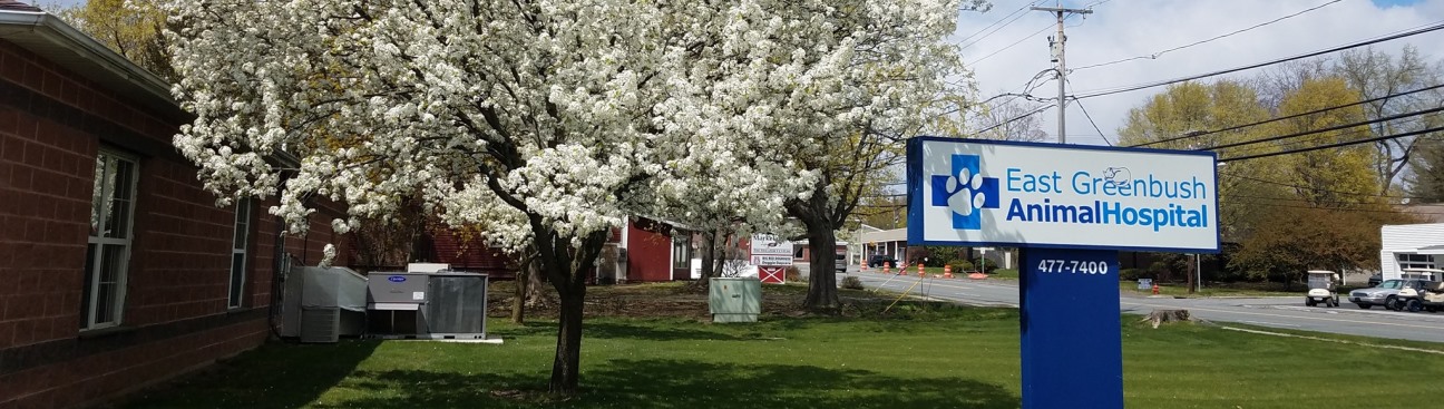 East Greenbush Animal Hospital's cover image