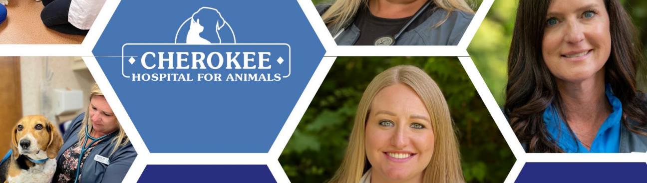 Cherokee Hospital for Animals's cover image