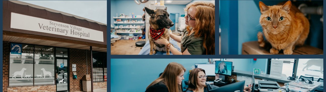 Stevenson Village Veterinary Hospital's cover image