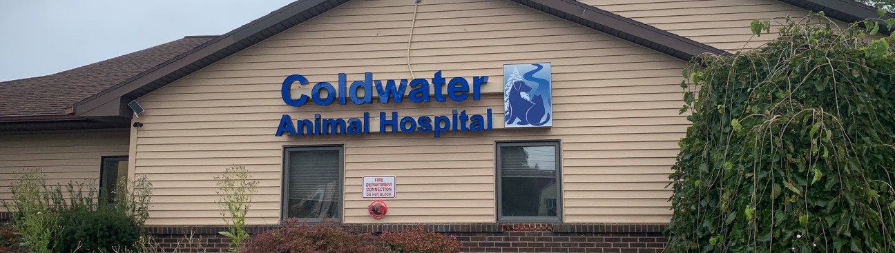 Coldwater Animal Hospital's cover image