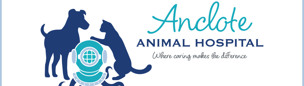 Anclote Animal Hospital's cover image