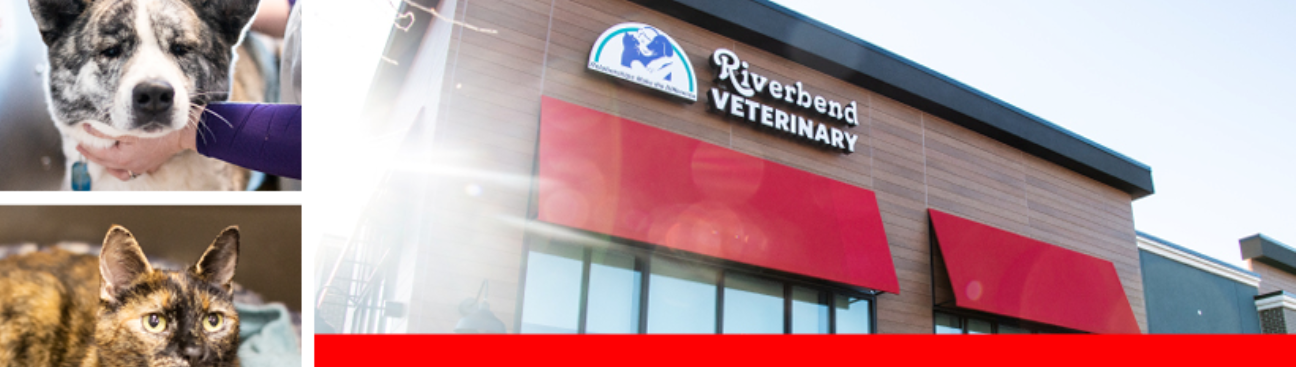 Riverbend Veterinary PetCare Hospital's cover image
