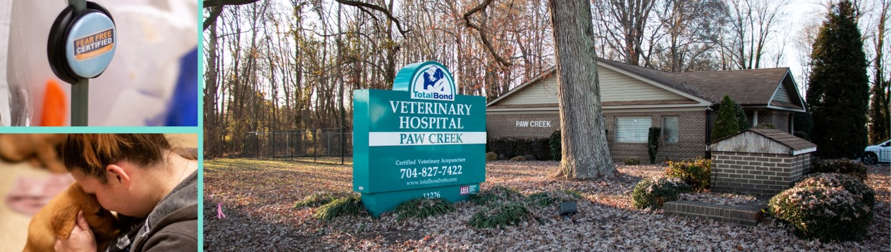 TotalBond Veterinary Hospital at Paw Creek's cover image