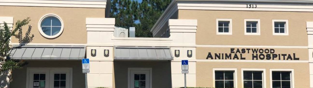 Eastwood Animal Hospital's cover image