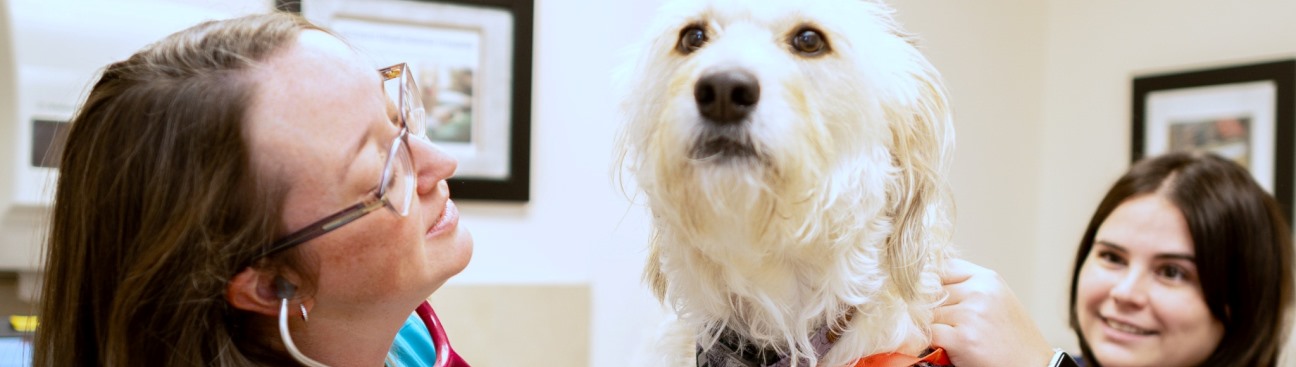 Dogwood Animal Hospital's cover image
