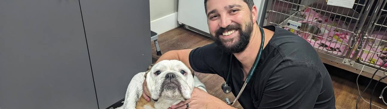 Dogwood Trails Animal Hospital's cover image