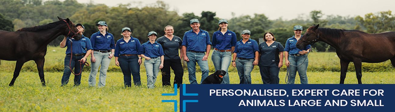 Vet Cross Gin Gin's cover image
