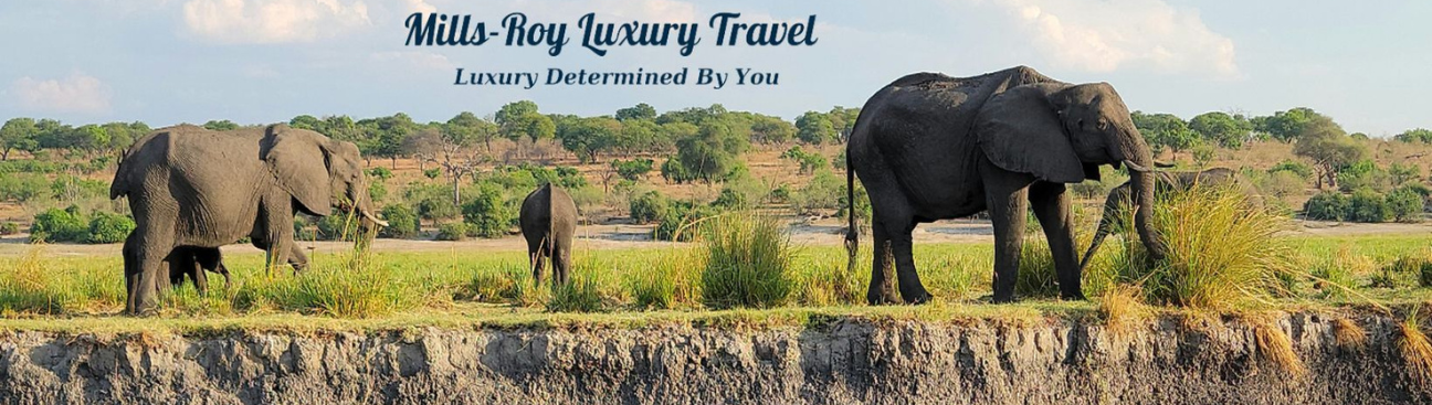Mills-Roy Luxury Travel's cover image