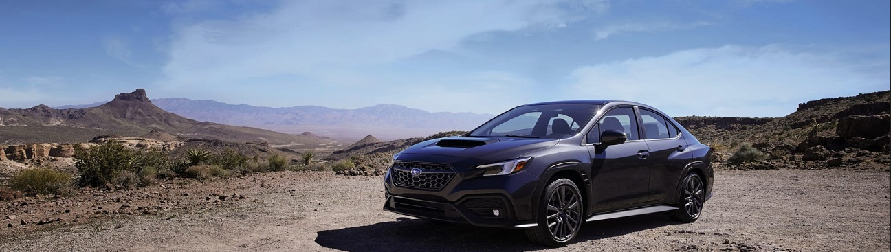 Camelback Subaru Service's cover image