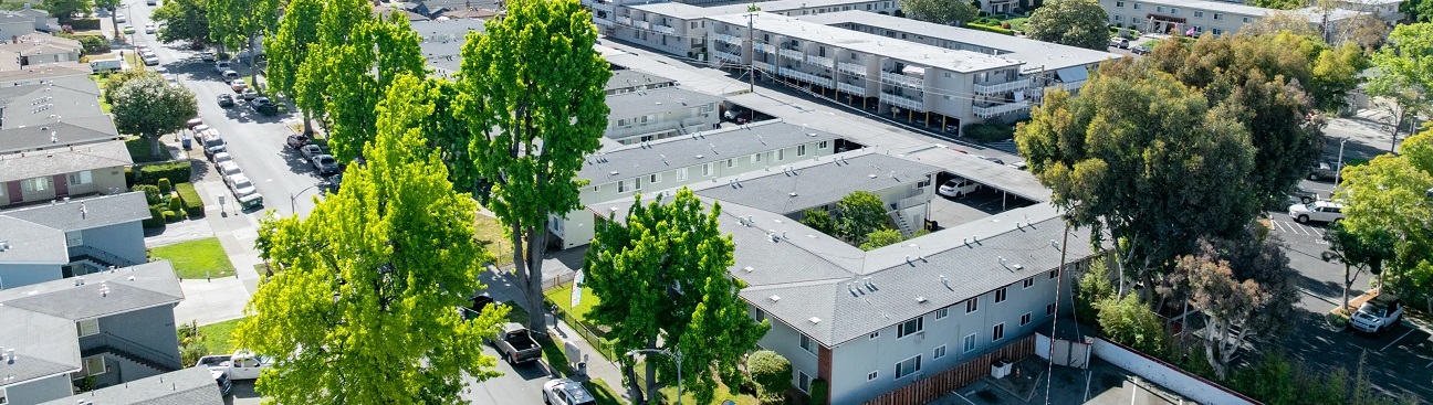 David Avenue's cover image